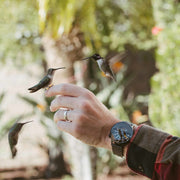 Xeric Evergraph Automatic SS Limited Edition Black
